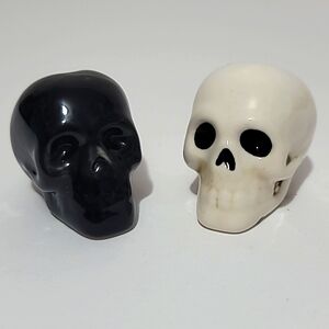 Skull Black and White Salt and Pepper Shakers